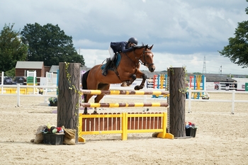 Lola Thulborn secures her HOYS debut in the Blue Chip Pony Newcomers Second Round at Wales and West Lola Thulborn secures her HOYS debut in the Blue Chip Pony Newcomers Second Round at Wales and West